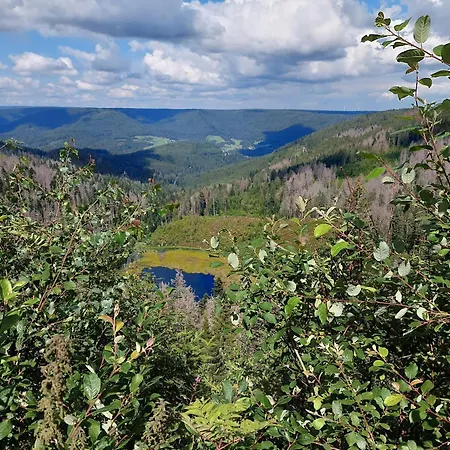 Waldeshoehe Pensionat