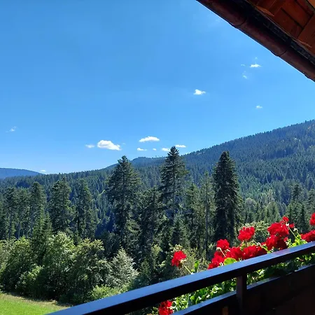 Pensionat Waldeshoehe 4*