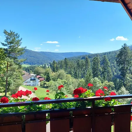 Waldeshoehe Guest house