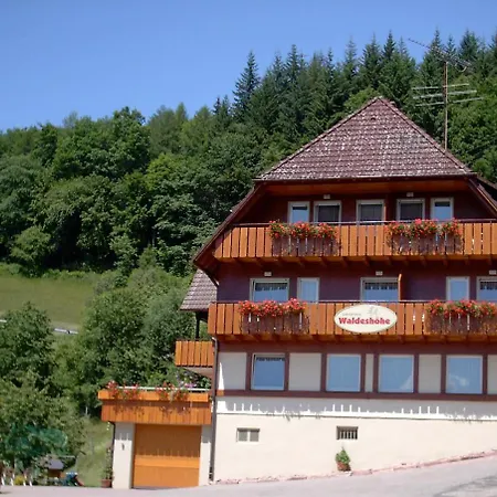 Waldeshoehe Baiersbronn