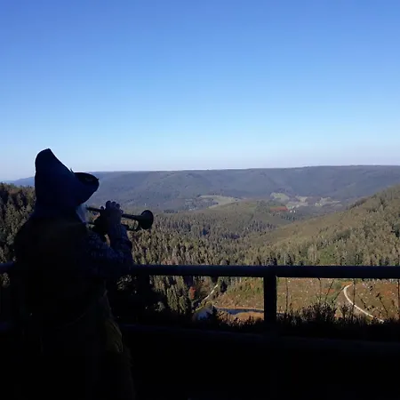 Waldeshoehe Pensionat 4*