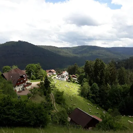 Waldeshoehe Baiersbronn