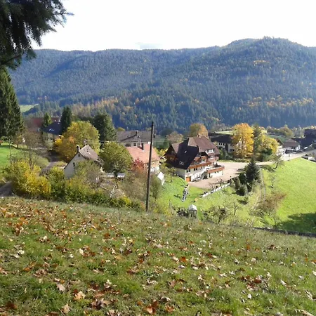 Pensionat Waldeshoehe 4*