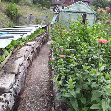 Pensionat Waldeshoehe 4*