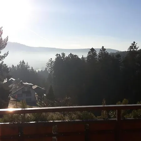 Pensionat Waldeshoehe Baiersbronn