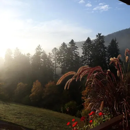 Pensionat Waldeshoehe