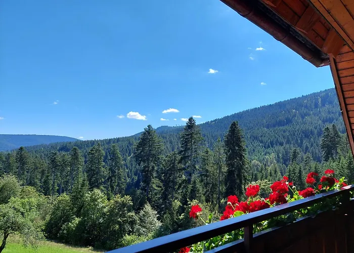 Pensjonat Waldeshoehe 4*