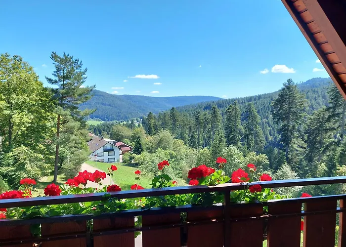 Waldeshoehe Pensjonat