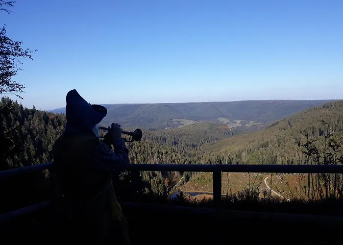 Waldeshoehe Pensjonat 4*