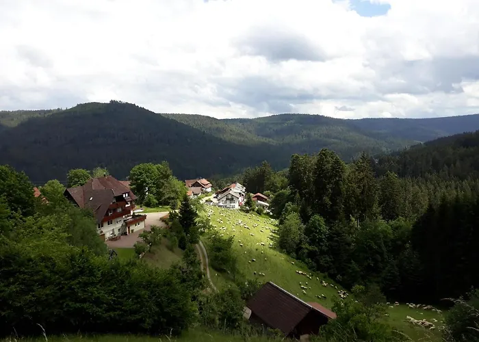 Waldeshoehe Baiersbronn