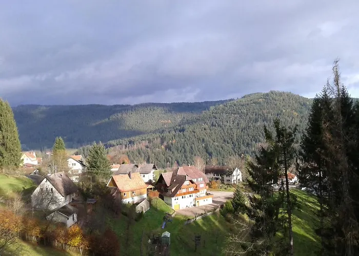 Waldeshoehe Pensjonat