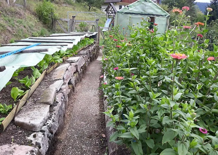 Pensjonat Waldeshoehe 4*